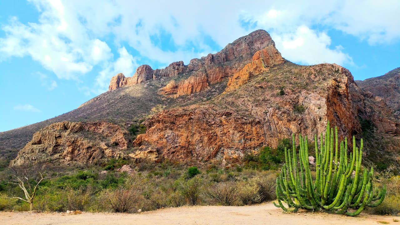 <h2 class="cms-H2-H2">Sonora (nivel 3)</h2>
<br>
<br>Para los viajeros que se dirijan a este estado mexicano, fronterizo con Arizona, se recomienda especial precaución debido al riesgo de secuestro y operación del narcotráfico. 
<br>
<br>Las autoridades estadounidenses recomiendan viajar solo durante horas del día en los puntos fronterizos de Nogales, Puerto Peñasco, San Luis Río Colorado, Cananea, Agua Prieta y pide evitar la región cercana a Mariposa, en el municipio de Altar, así como San Carlos Nuevo Guaymas y Álamos.
<br>