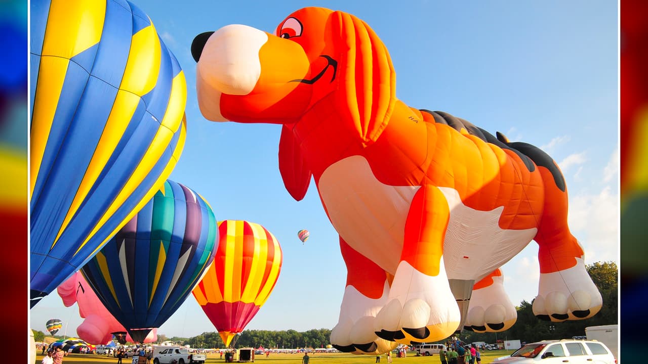 <b>Está prohibido el ingreso de bebidas alcohólicas</b> y no es recomendable llevar mascotas debido a que, según los organizadores, pueden alterarse debido a los globos. Ante las altas temperaturas, lo mejor es llevar ropa fresca y zapatos deportivos. El evento se puede cancelar debido a las condiciones del tiempo y 
<b>no hay política de reembolso</b>.