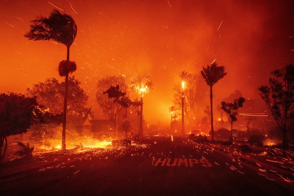 El terrible impacto de las pequeñas brasas voladoras en la propagación de los incendios en California