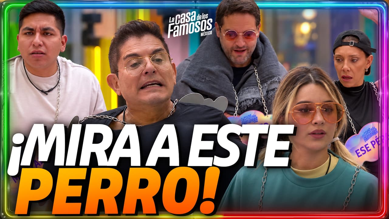 Karina Laguardia MÁS PERRA QUE NUNCA