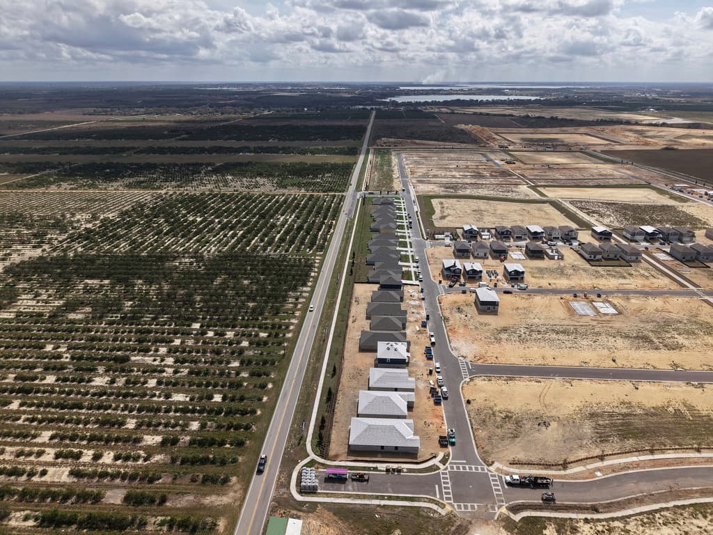 Huracanes, plagas y urbanización han reducido la producción de naranjas y los empleos agrícolas.