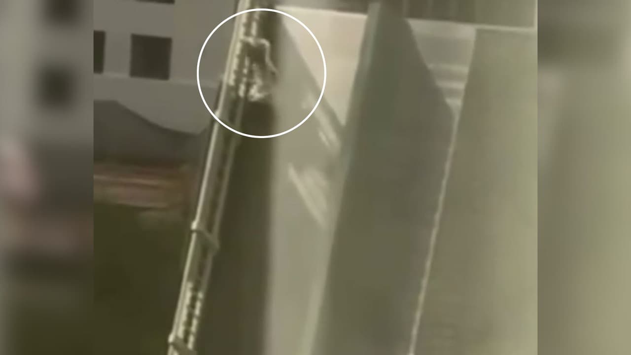 Impactante momento en el que una mujer cae del puente Brickell mientras se elevaba: “Estaba en shock”