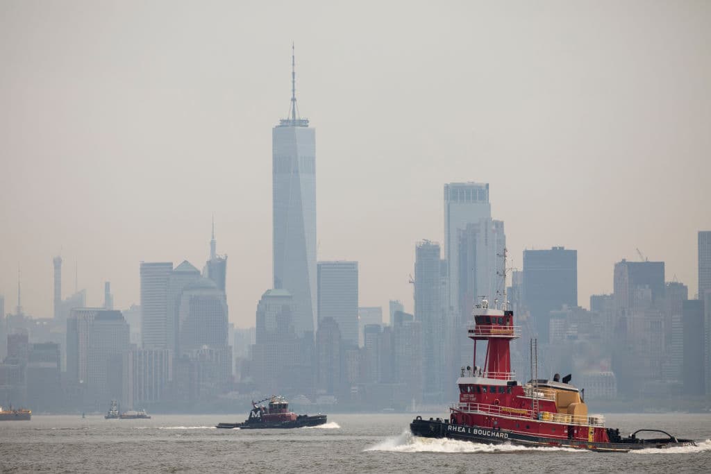 La contaminación por partículas, también asociada con la formación de hollín, es más mortal y peligrosa para la salud que la de ozono y causa más muertes prematuras por 
<a href="https://www.univision.com/temas/cancer">cáncer de pulmón</a>, explicó la asociación que elaboró el reporte.