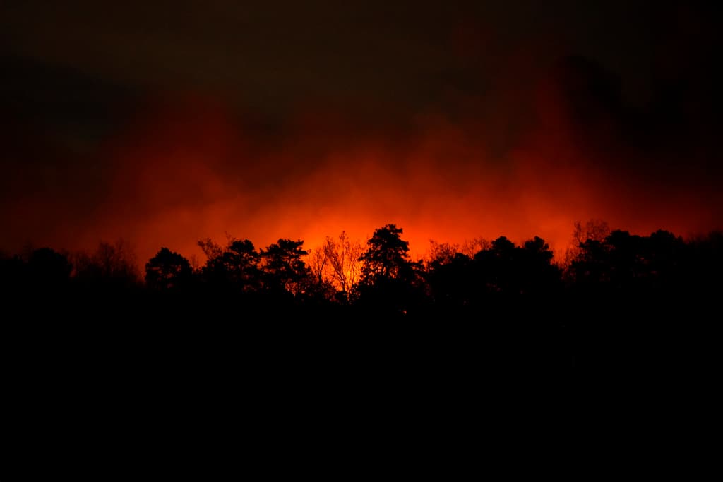 Las autoridades continúan investigando la causa del incendio mientras los esfuerzos de contención prosiguen.