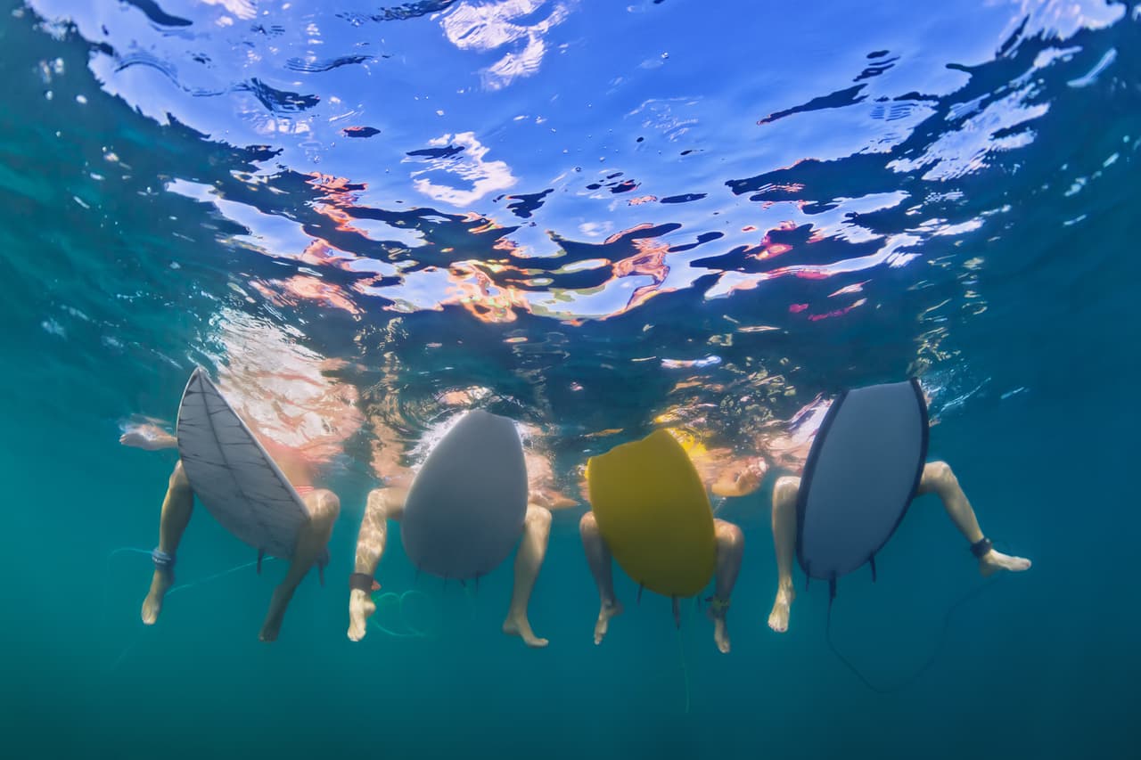 Siempre asegúrate de nadar, bucear o practicar actividades acuáticas como el surf, en grupos. Los ataques de tiburones suelen ocurrirle a individuos que se encuentran solos porque los escualos los confunden con una presa natural, es decir, un animal que se puede comer. Si estás con grupo de personas, se evita esta confusión.