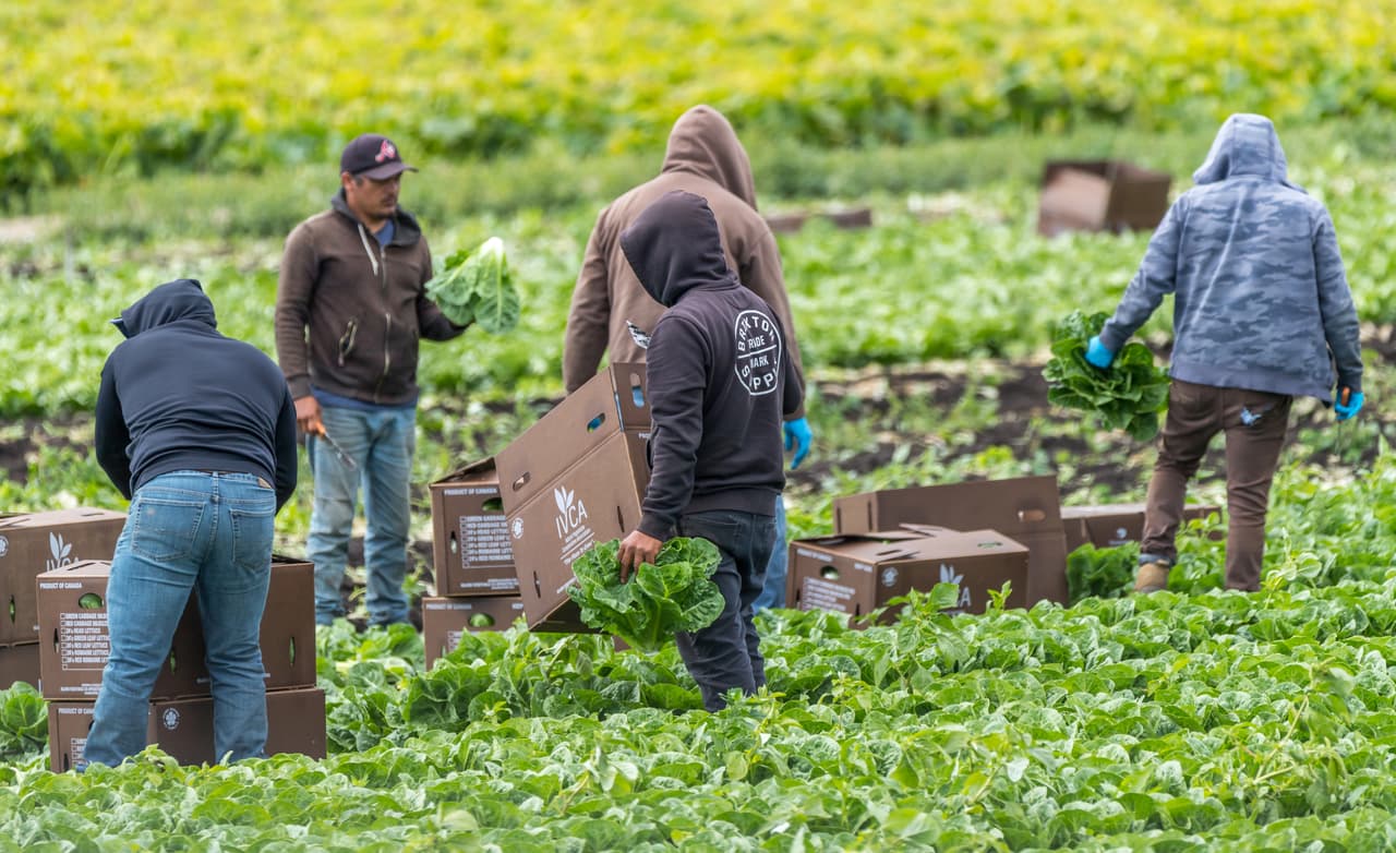 <b>Quienes tienen ingresos de $30,000 al año: pagan aproximadamente $2,855 dólares en impuestos. </b>En este rango se encuentran empleados en la agricultura y en procesadoras de alimentos, recepcionistas, operadores de maquinaria, estilistas y cosmetólogos, entre otros. Según la 
<a href="https://www.ssa.gov/cgi-bin/netcomp.cgi?year=2018"><u>Administración del Seguro Social</u></a>, cerca de la mitad de los trabajadores ganaron este monto o menos en 2018.