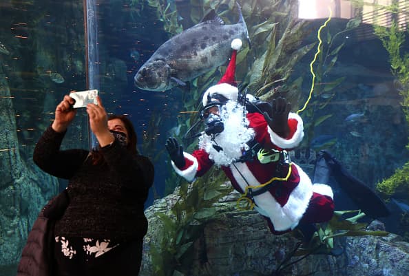 La celebración en Long Beach, "Regalos navideños para los animales" se extenderá hasta el 23 de diciembre.