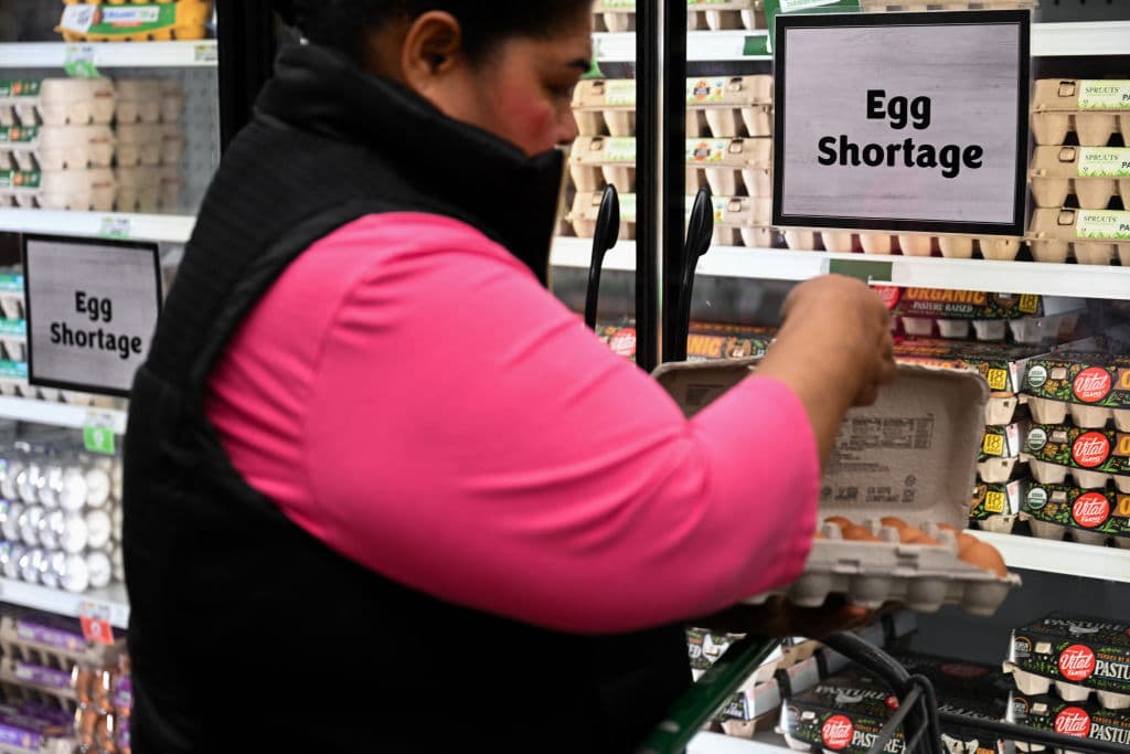 El alto precio de los huevos ha convertido este producto en un lujo para millones de familias en los Estados Unidos.
