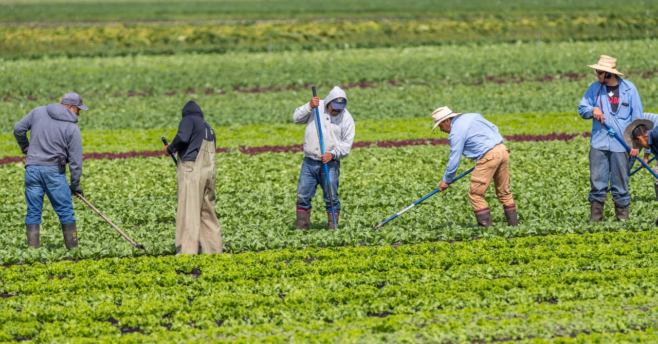 <h2 class="cms-H2-H2">11. Trabajadores del campo, pesca y tala de árboles</h2>
<br>
<br>🚧 
<b>Tasa de accidentes fatales (2021): </b>30.0 por cada 100,000.
<br>
<br>🚧
<b> Muertos por accidentes laborales (2021): </b>16.
<br>
<br>🚧 
<b>Causa de muerte más común:</b> Accidentes de transporte.
<br>