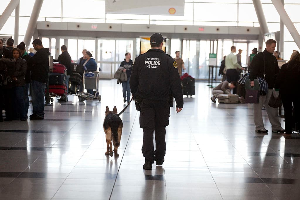 Arrestan a hombre en el aeropuerto JFK por llevar cocaína en unas bolsas de camarones