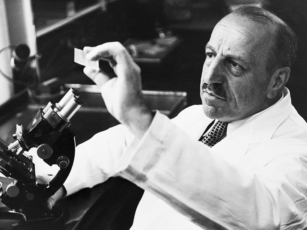 Georgios Papanicolaou examina una diapositiva de laboratorio en 1958. Papanicolaou ideó la prueba del "Pap" para el cáncer cervical y es honrado el 13 de mayo con motivo de su 75 cumpleaños.