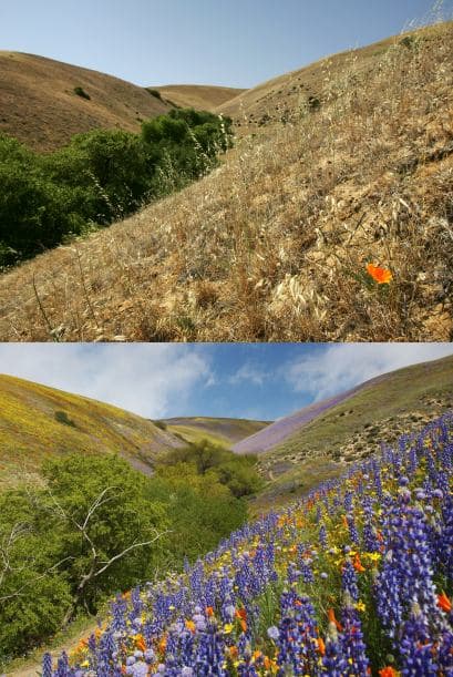 La temporada de lluvias en Los Angeles se perfila como la más seca, provocando que la región se encuentre ahora en un estado de sequía 'extrema'.