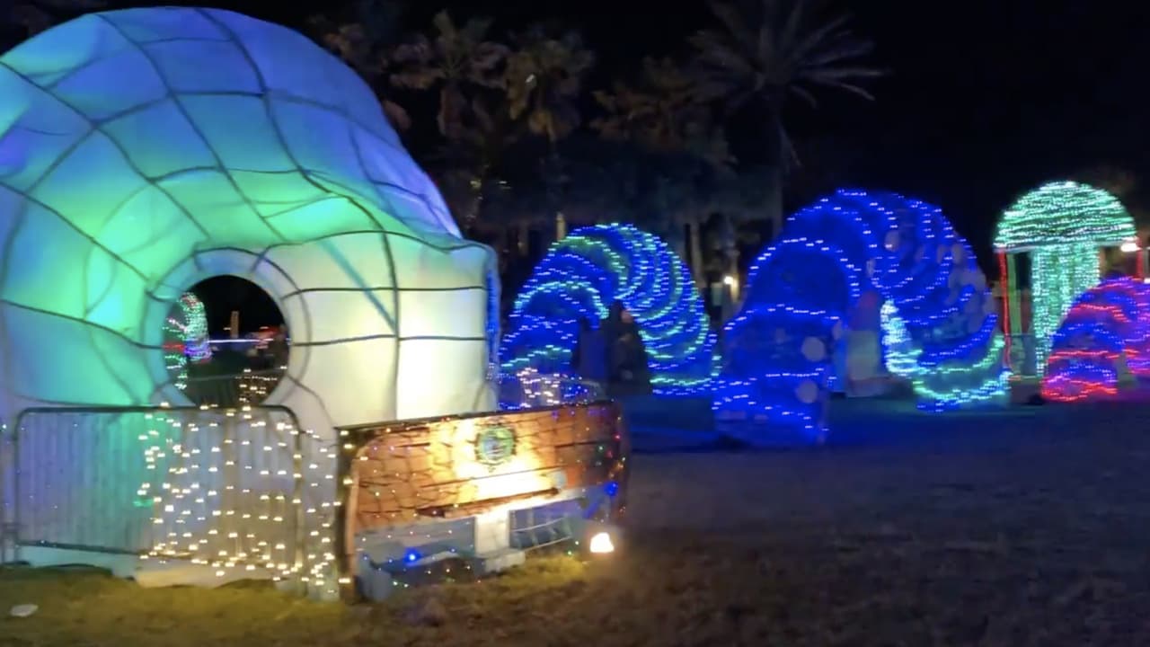 <b>En video</b>. Beaches Go Green, una organización educativa sin fines de lucro en Florida, ha convertido restos de basura plástica en una exhibición de luces festivas navideñas. Con esta instalación pretenden crear conciencia sobre cómo los desechos que producen las personas afectan a los océanos del mundo.