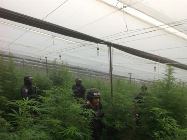 El 31 de enero de 2014 fue allanado un laboratorio de drogas en la pequeña aldea montañosa de Iguala en la occidental provincia de Lempira. Una unidad especial de investigación policial sorprendió a dos colombianos apenas despiertos, los arrestó y confiscó varias armas y 6,000 plantas de marihuana y heroína. Dos meses después, los colombianos fueron liberados.