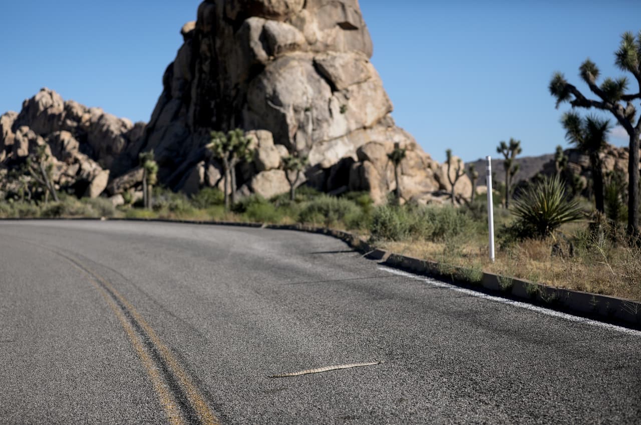 Estas son algunas recomendaciones del 
<a href="https://wildlife.ca.gov/Keep-Me-Wild/Rattlesnakes" target="_blank">Departamento de Pesca y Vida Salvaje de California</a> para prevenir contactos inesperados con estas serpientes.