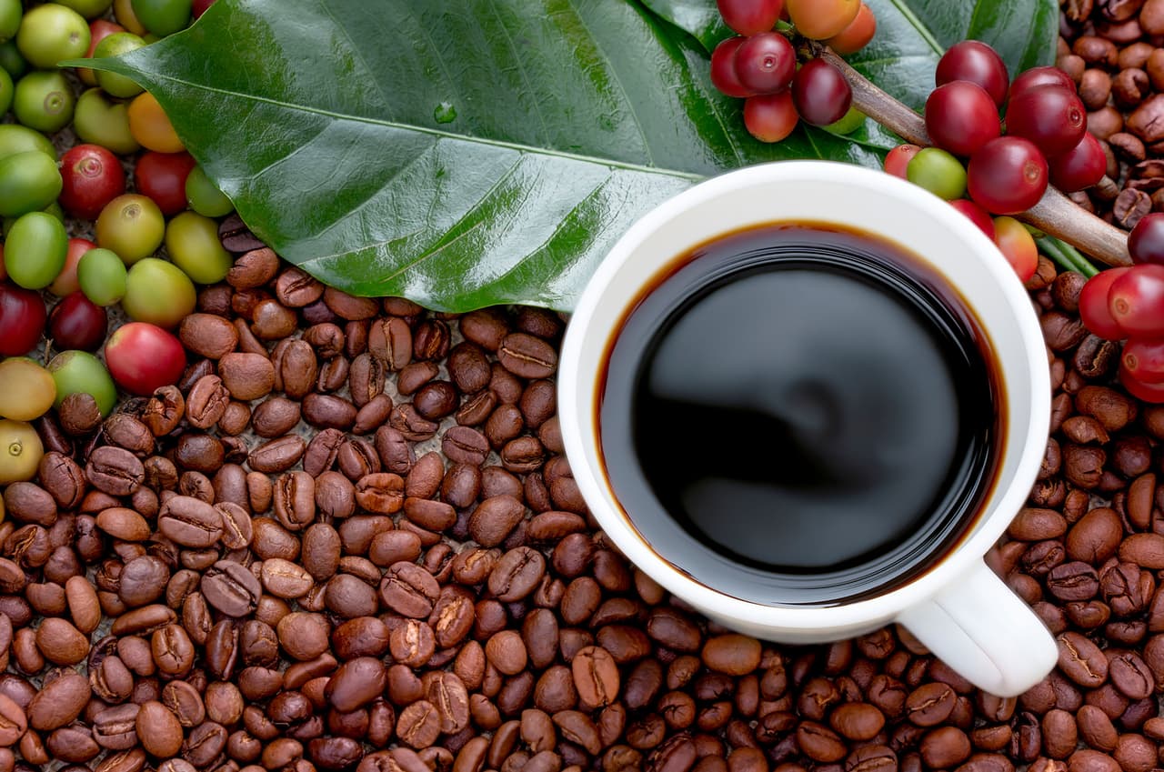 <b>Puesto 5. Café</b>
<br>
<br>Emisión de gases de efecto invernadero para producir un kilogramo de producto: 28.5 kilogramos de CO2.
<br>
<br>Tierra necesaria para producir un kilogramo de producto: 26.1 metros cuadrados.
<br>
<br>Agua dulce necesaria para producir un kilogramo de producto: 25.9 litros.
<br>