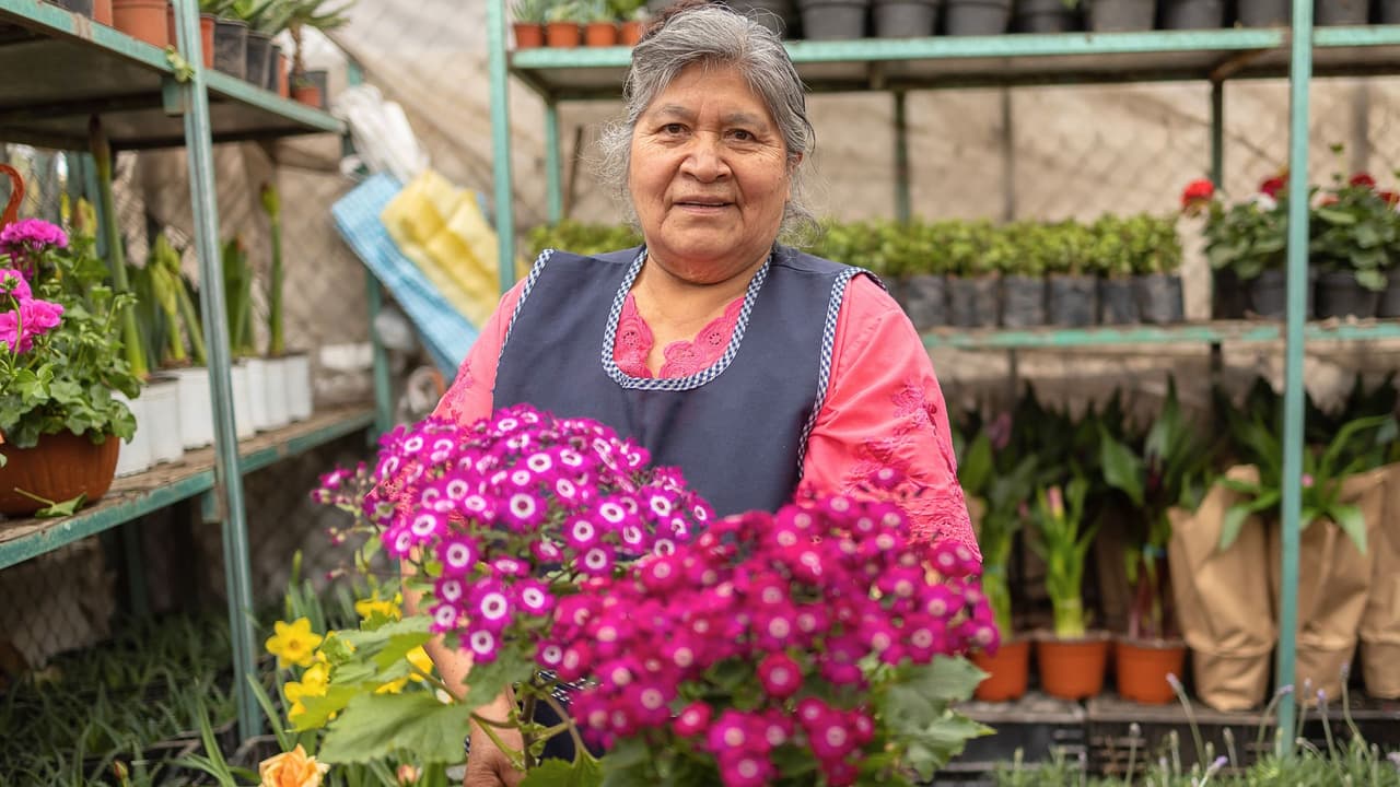 <h3 class="cms-H3-H3">¿Y los inmigrantes sin documentos? </h3>
<br>Aunque no tienen un estatus migratorio legal, su impacto económico es enorme: 
<br>📌 2.1 millones de inmigrantes indocumentados viven en Texas, el 6.9% de la población estatal. 
<br>📌 $13.8 mil millones en impuestos pagados. 
<br>📌 $48.8 mil millones en poder adquisitivo.
<br>📌 9% de la fuerza laboral total del estado. 
<br>📌 225,800 empresarios indocumentados, que contribuyen con nuevos negocios y empleos.
<br>A pesar de las barreras legales, los inmigrantes indocumentados contribuyen sustancialmente a la economía y sostienen 
<b>sectores clave como la construcción (26.6%), la agricultura (16.7%) y los servicios de hospitalidad y alimentos (14.5%).</b>