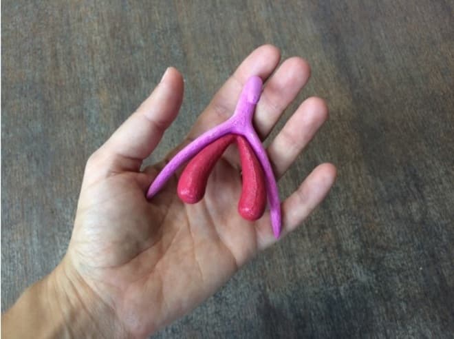 Esto que ves es un clítoris en 3D... y puede cambiar todo lo que creías saber sobre él