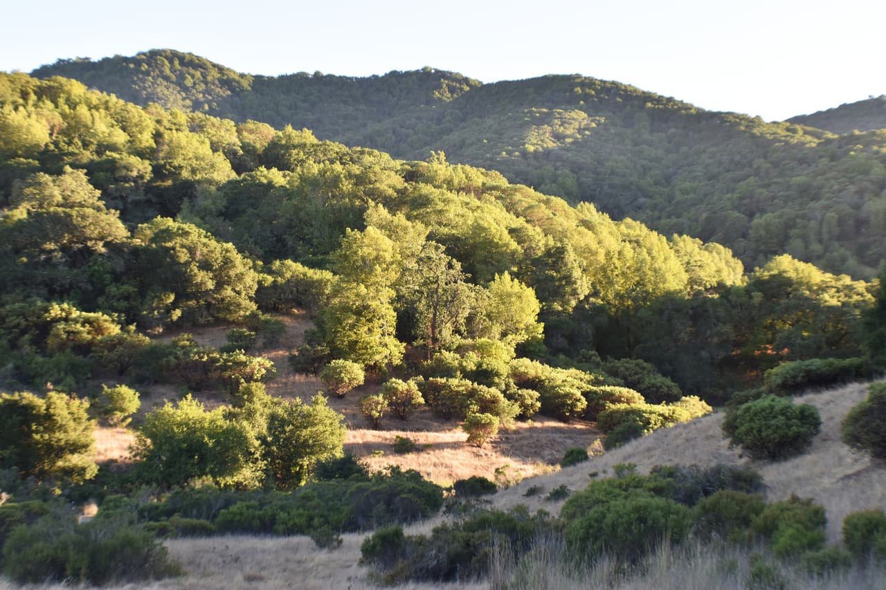 <h2 class="cms-H2-H2">14. Novato, California</h2>
<br>
<br>💵 
<b>Salario mínimo por hora a partir del 1 de enero de 2023 (empresas con más de 100 empleados):</b> $16.32
<br>
<br>💵 
<b>Salario mínimo por hora a partir del 1 de enero de 2023 (Empresas que tengan entre 26 y 99 empleados):</b> $16.07
<br>
<br>💵 
<b>Salario mínimo por hora a partir del 1 de enero de 2023 (empresas con menos de 25 empleados):</b> $15.53
<br>