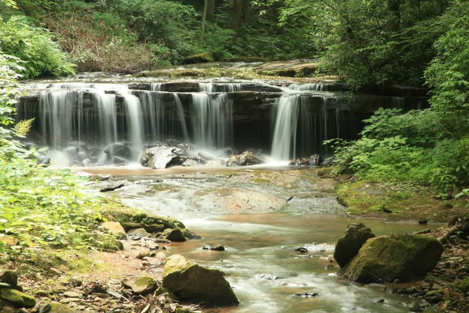 Encuentra más información sobre Pearson’s Falls, 
<b><a href="https://www.pearsonsfalls.org/who-we-are" target="_blank">aquí</a></b>.