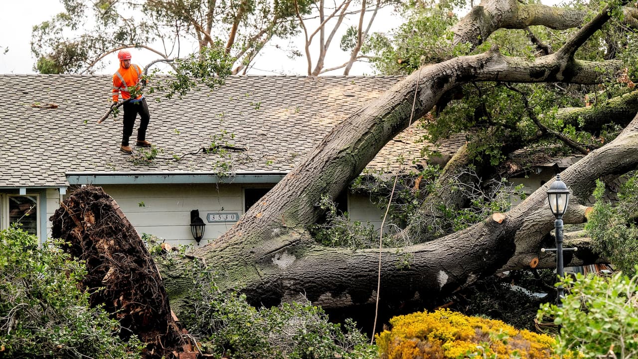 Alerta de vientos en Los Ángeles: se esperan ráfagas de hasta 60 mph y posibles cortes de electricidad