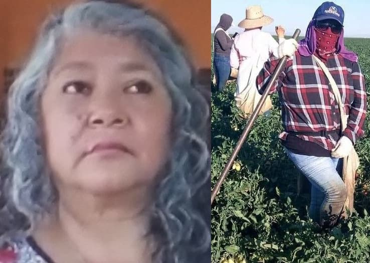 Las dificultades de los trabajadores agrícolas de California llegan a la Convención Demócrata