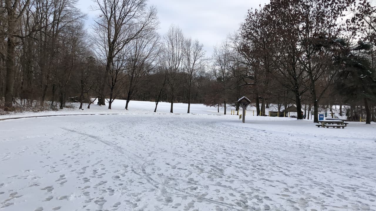 Filadelfia está forrada de nieve y mientras algunos palean otros juegan. Así fue como captamos a estos amigos de cuatro patas en el Blue Bell Park.