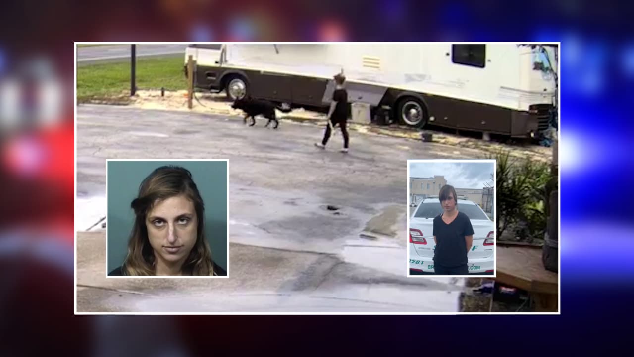 Mujer enfrenta cargos de abuso animal por provocar la muerte de un perro 