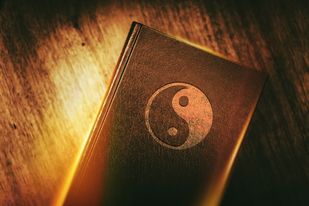 Fue contemporáneo de otro gran sabio y filósofo chino, Confucio (en idioma chino Kung Fu Tzu). Al filósofo Lao Tsé le debemos la creación del taoísmo una de los sistemas filosóficos más racionales que se conoce, y que aún después de más de 2 500 años sigue vigente y no pierde actualidad.