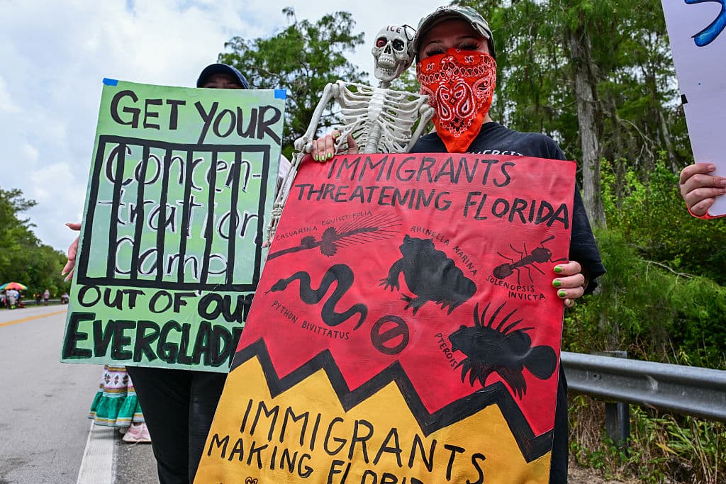 El centro de detención de inmigrantes está rodeado de pantanos, que son hogar de caimanes, pitones birmanas invasoras y mosquitos, entre otras 2,000 especies.