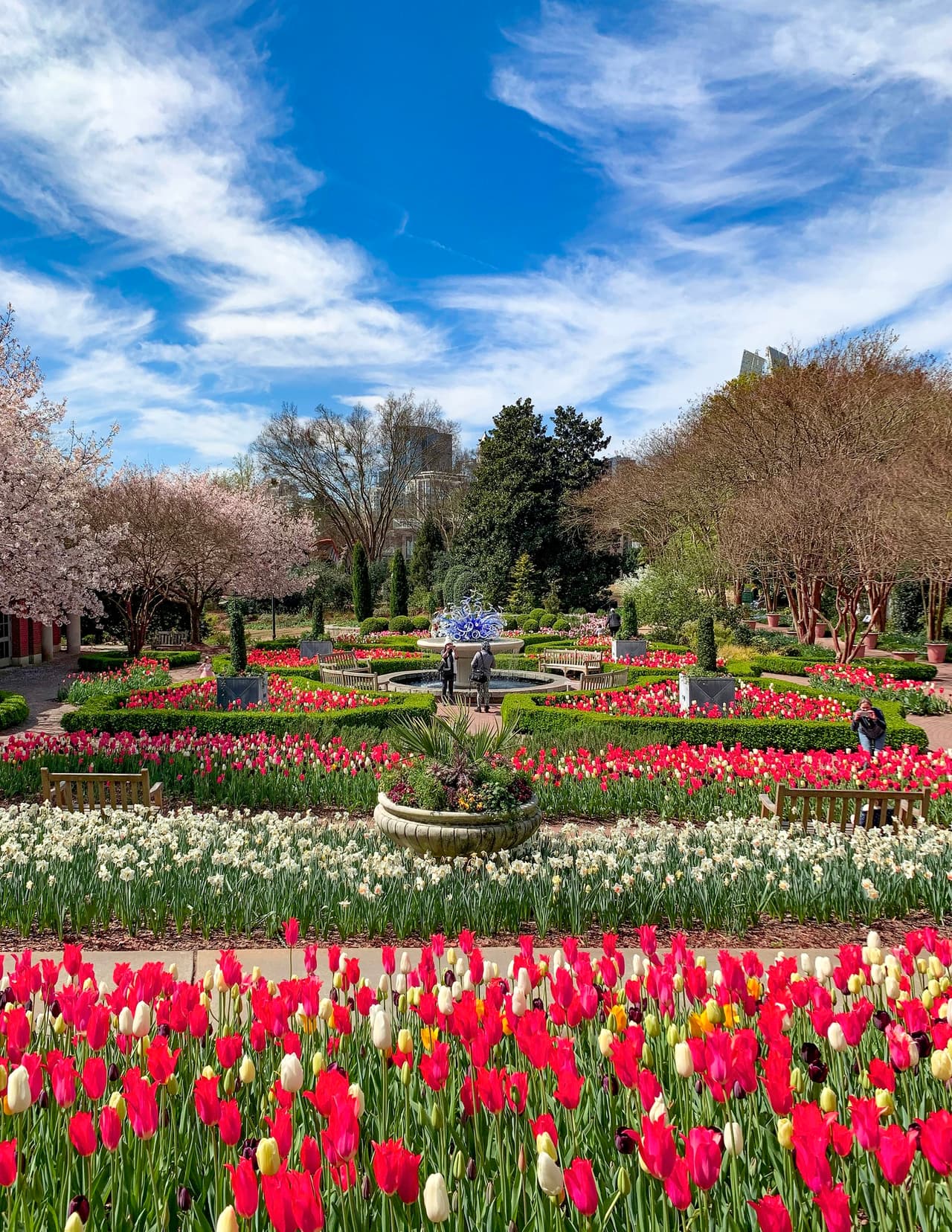 <b><a href="https://atlantabg.org/">Atlanta Botanical Garden</a></b>. Disfruta de exhibiciones como las que ofrece el Centro de Orquídeas Fuqua, que presentan a los visitantes una rara colección de orquídeas de altura nunca antes cultivadas en el sureste del país.
<br>
<br>
<b><a href="https://goo.gl/maps/qN9zXrNAvi5wnaUY7">Cómo llegar</a></b>