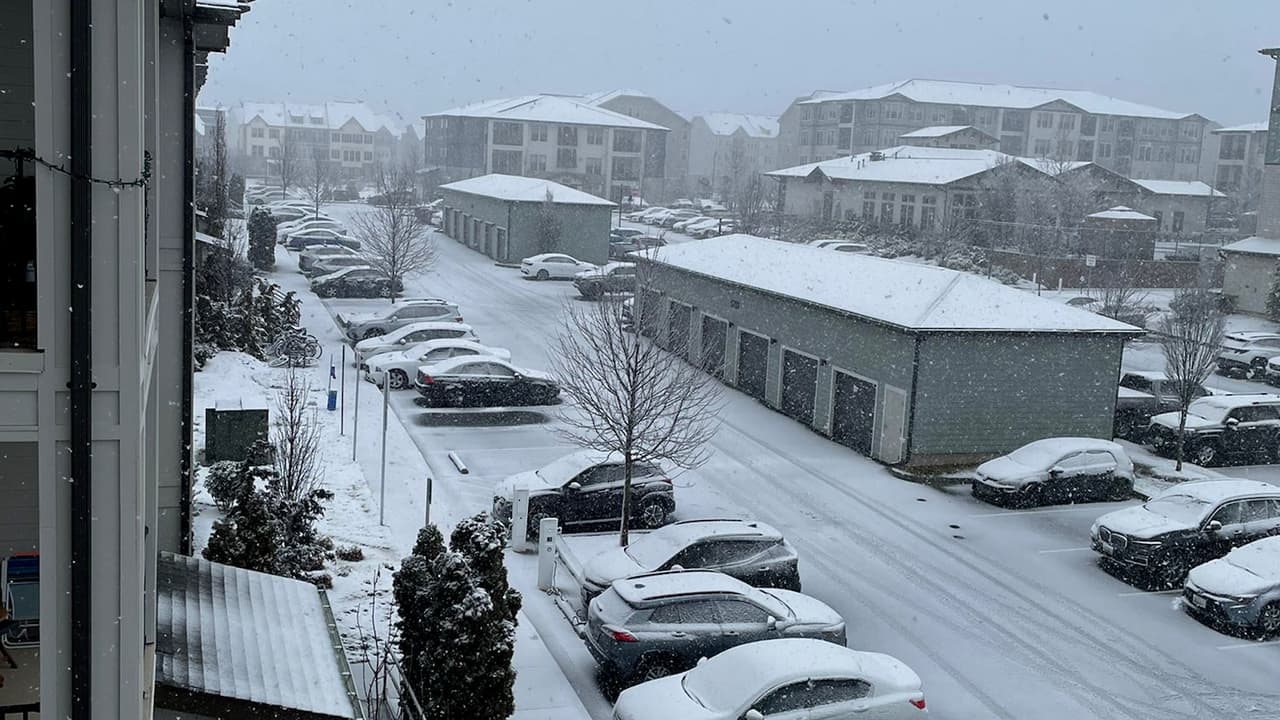 Video: tormenta invernal pasa rápido por el DMV, pero deja un blanco paisaje