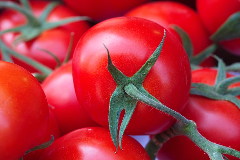 Desde entonces, se recomienda su consumo en hombres que tienen baja libido o con algún tipo de debilidad sexual, pues sus vitaminas y minerales contribuyen al desarrollo de la testosterona y por ende, aumenta supuestamente la virilidad.
