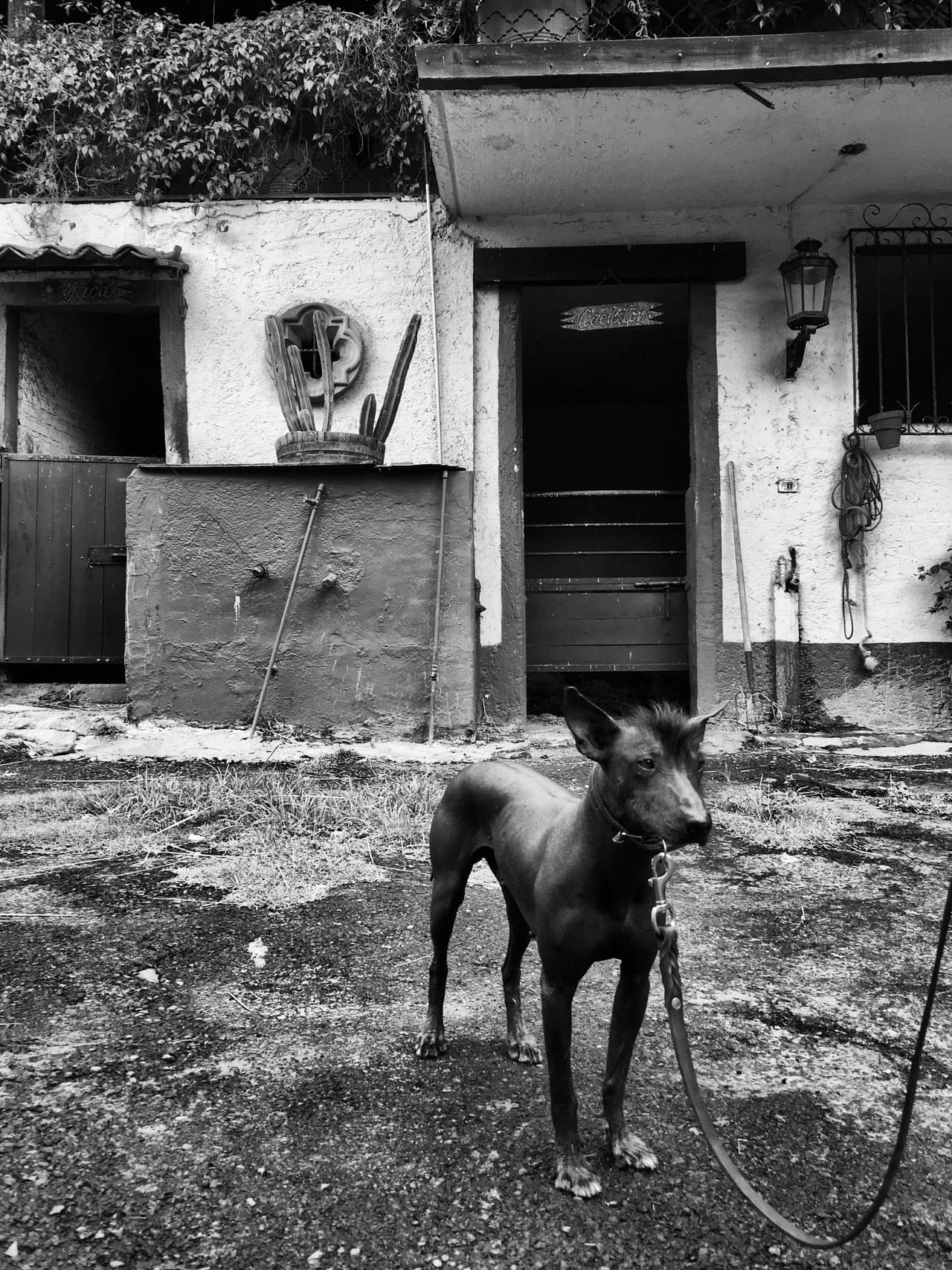 Escena chilanga
