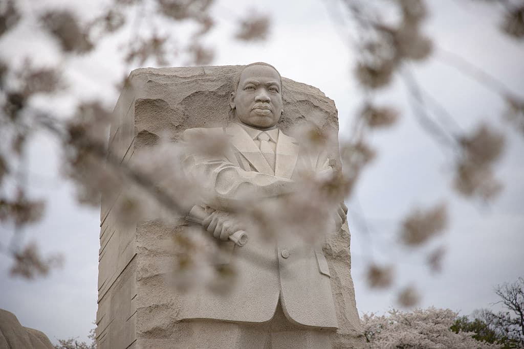Los 'cherry blossoms' en encuentran en la ruta de los diversos monumentos en memoria de expresidentes y líderes nacionales como el defensor de los derechos civiles, Martin Luther King, Jr.