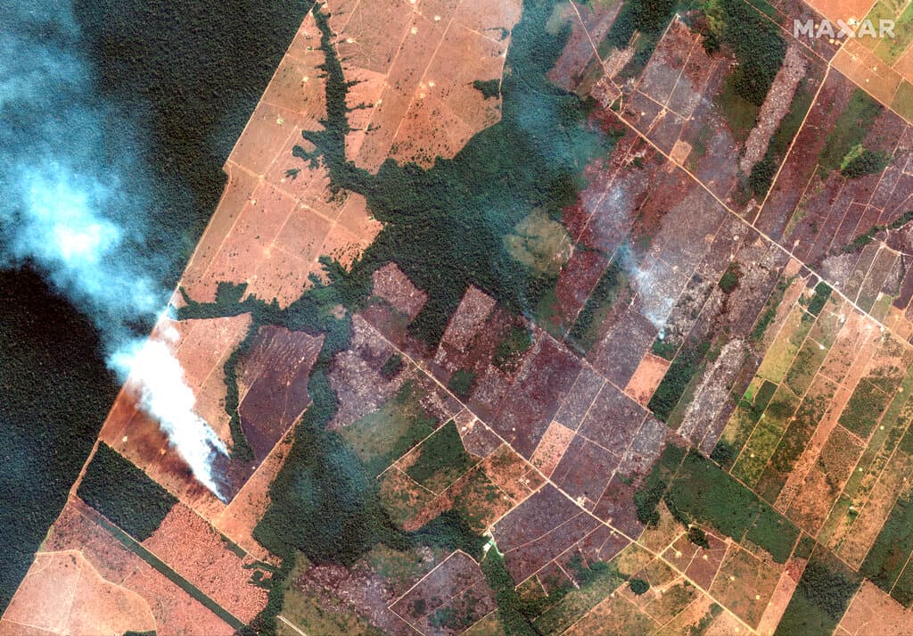 La selva amazónica es tan grande, que 
<b>las temporadas de lluvia varían de una zona a otra</b>. Un clima más cálido hace que el bosque sea más seco, pero también genera anomalías como la intensificación de la frecuencia del fenómeno del Niño.
<br>