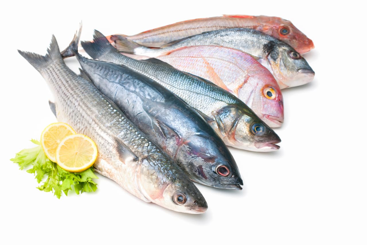 Pescado