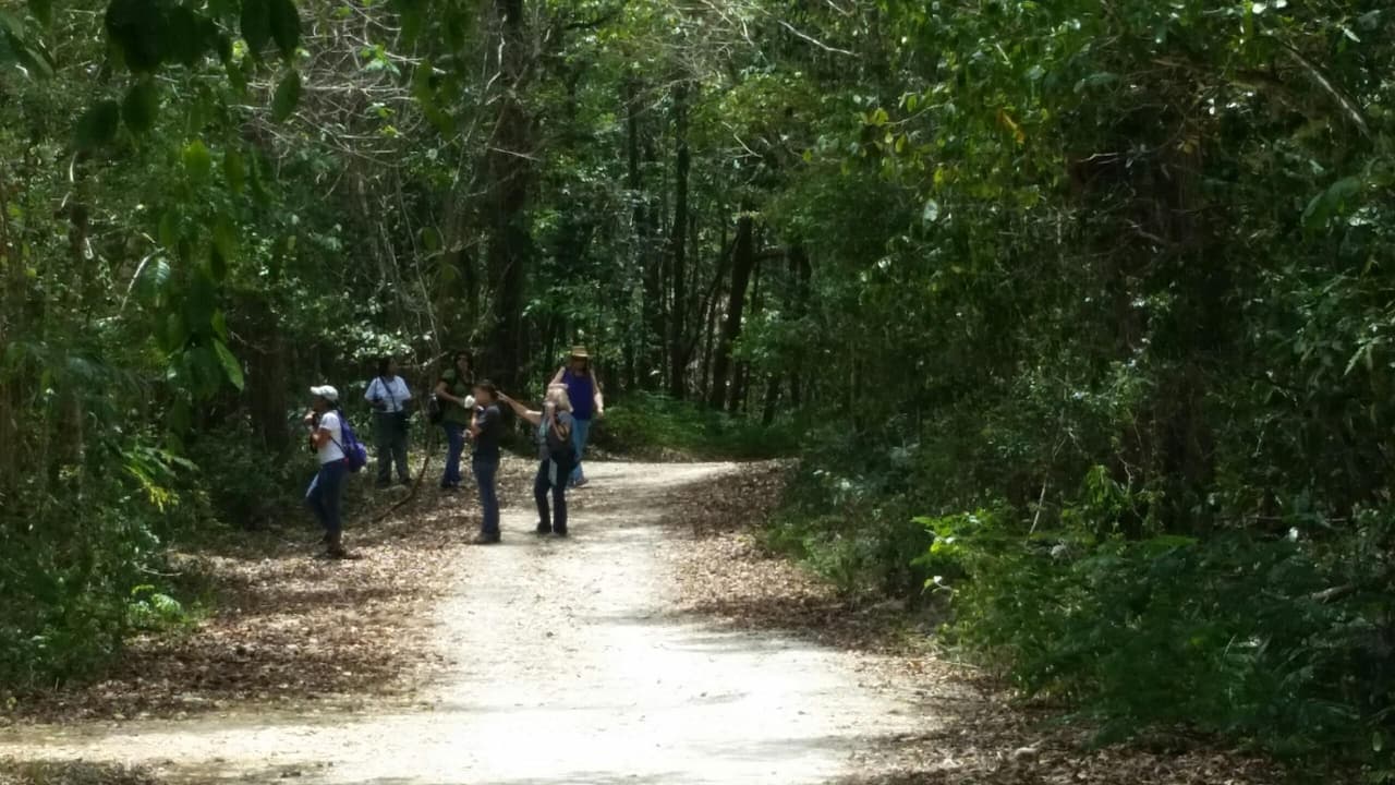 Cuando el clima lo permita, use camisas de manga y pantalones largos siempre que esté al aire libre. Considere quedarse adentro al amanecer, anochecer y temprano en la noche, cuando los mosquitos están más activos.