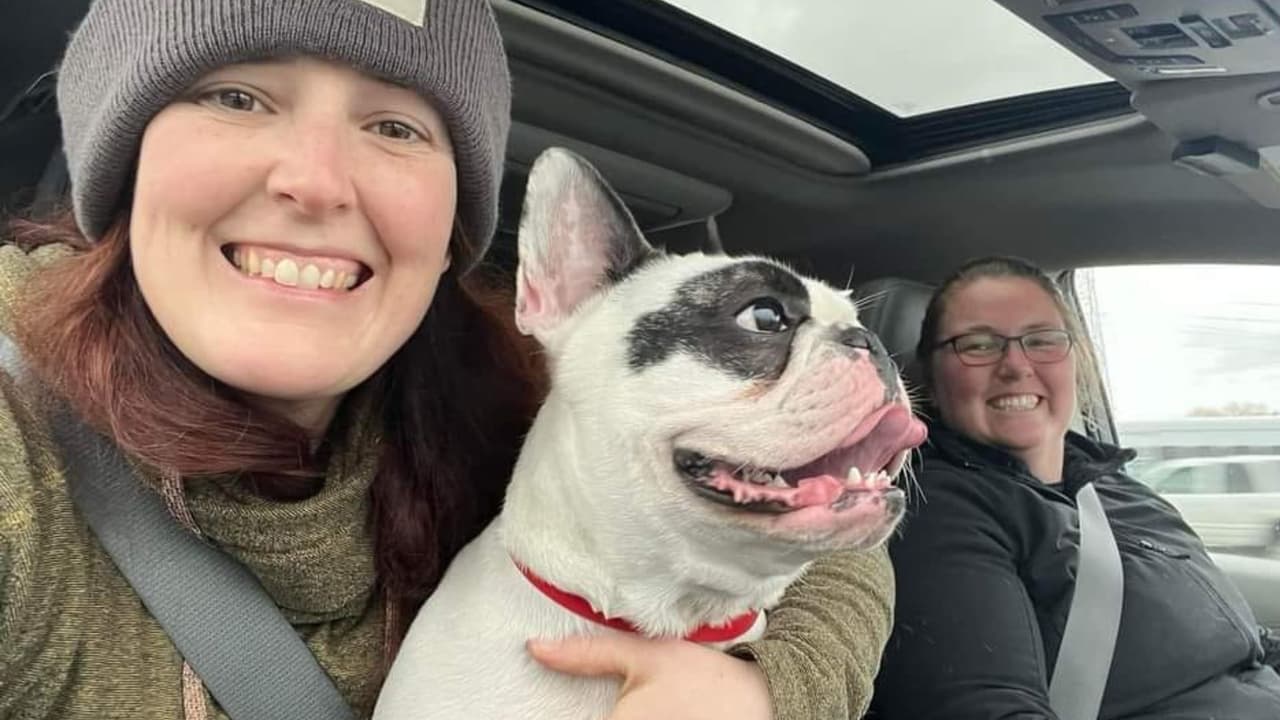 Tiene Ralphie el ‘perro demonio’ nueva oportunidad… va a cuarto hogar adoptivo