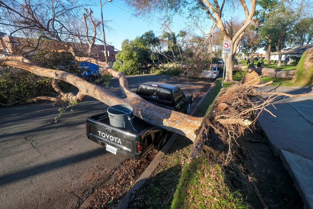 De acuerdo con la
<a href="https://huracanes.fiu.edu/aprende-sobre-huracanes/vientos-fuertes/saffir-simpson-hurricane/index.html" target="_blank">Escala de Vientos Saffir-Simpson</a>se categoriza a los huracanes con base en la velocidad de sus vientos, teniendo como valor inicial las 74 mph (119 km/h) para un huracán de categoría 1.