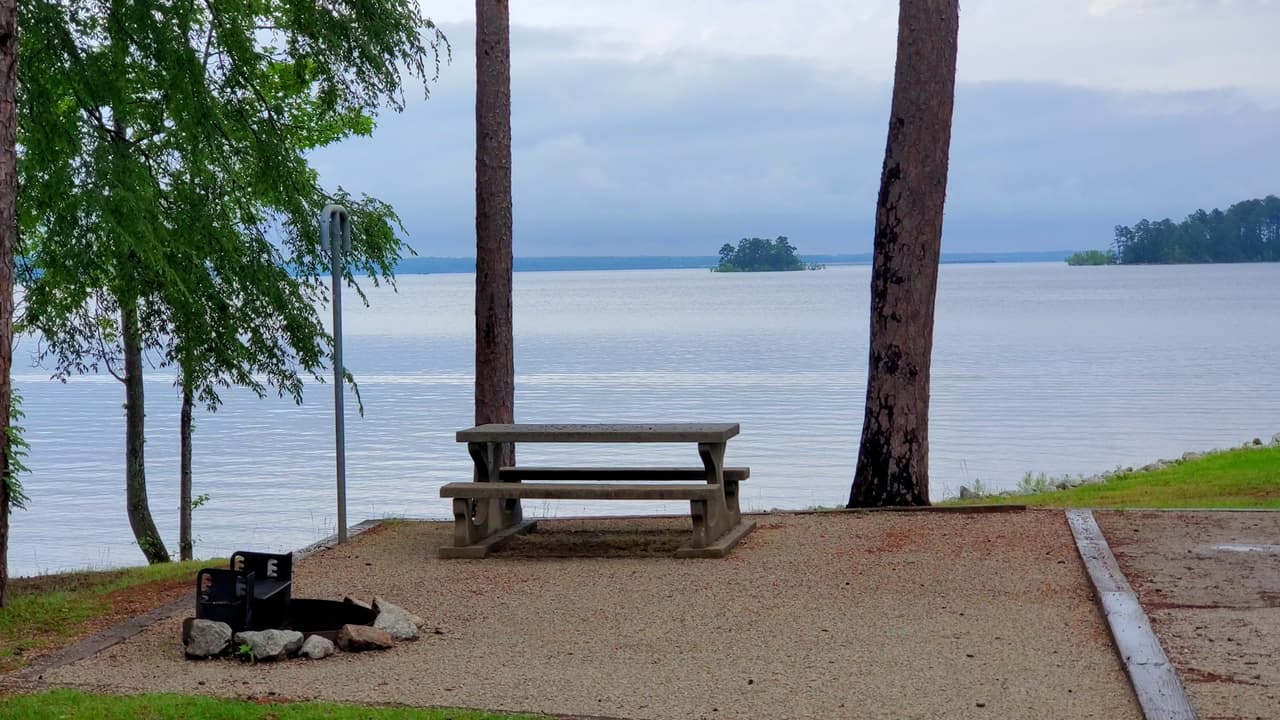 Muchos de ellos están a la orilla del lago.