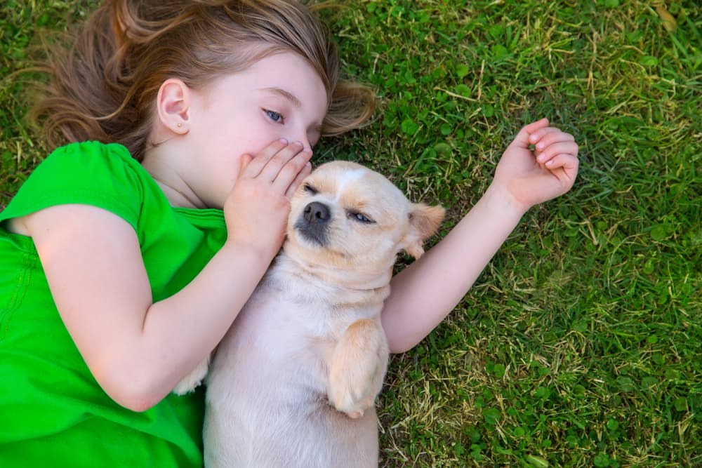 No se recalca si es un aparato como el anterior entre humanos, pero hay algunos que lo interpretan como que nos comunicaremos mejor con animales en el sentido que el veganismo va en aumento.