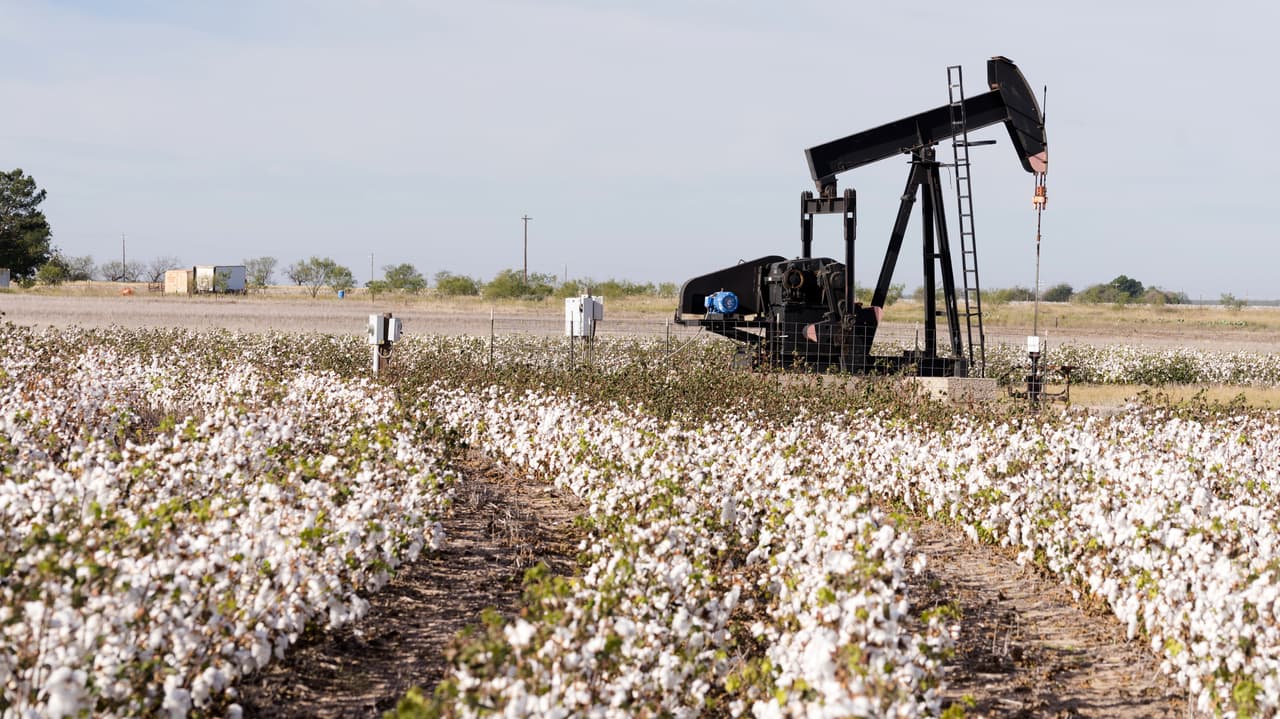 <b>Seda, algodón y productos textiles. </b>Algunas materiales, como la cachemira, y productos textiles hechos por el hombre, como el poliéster o el rayón, subira´n seguramente sus precios. También hay algunas telas, como la pana.