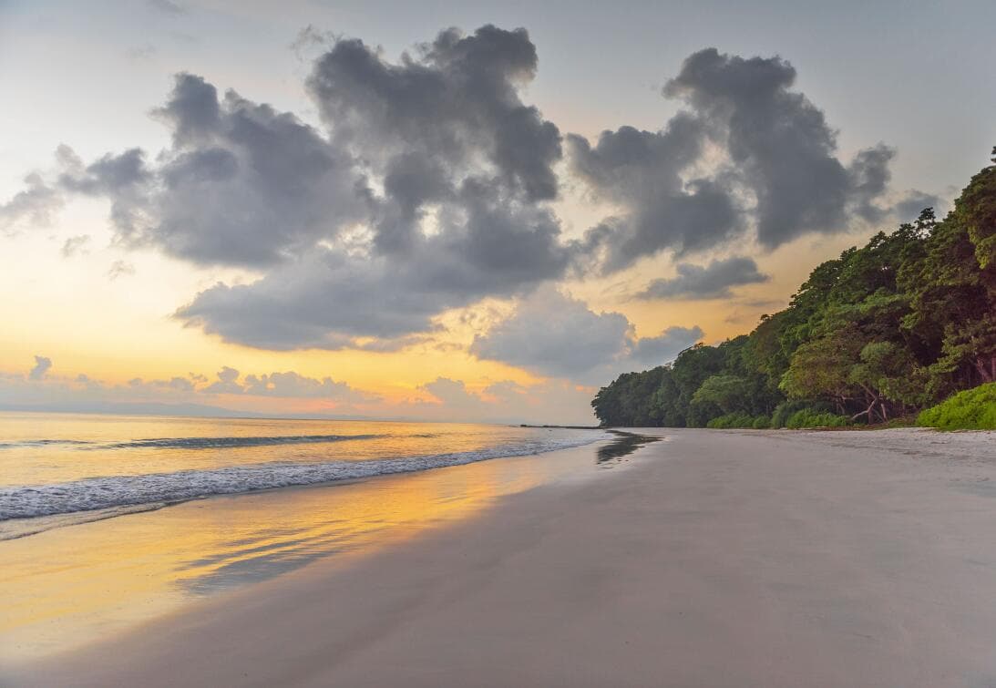 <b>Puesto 7: Radhanagar Beach (Isla Havelock, India)</b>
<br>
<br>“Increíble agua turquesa clara, bosques de manglares y arena blanca prístina, y lo que más me gusta es que no es profunda”, escribió un visitante sobre este destino en la bahía de Bengala, al sudeste de India.
