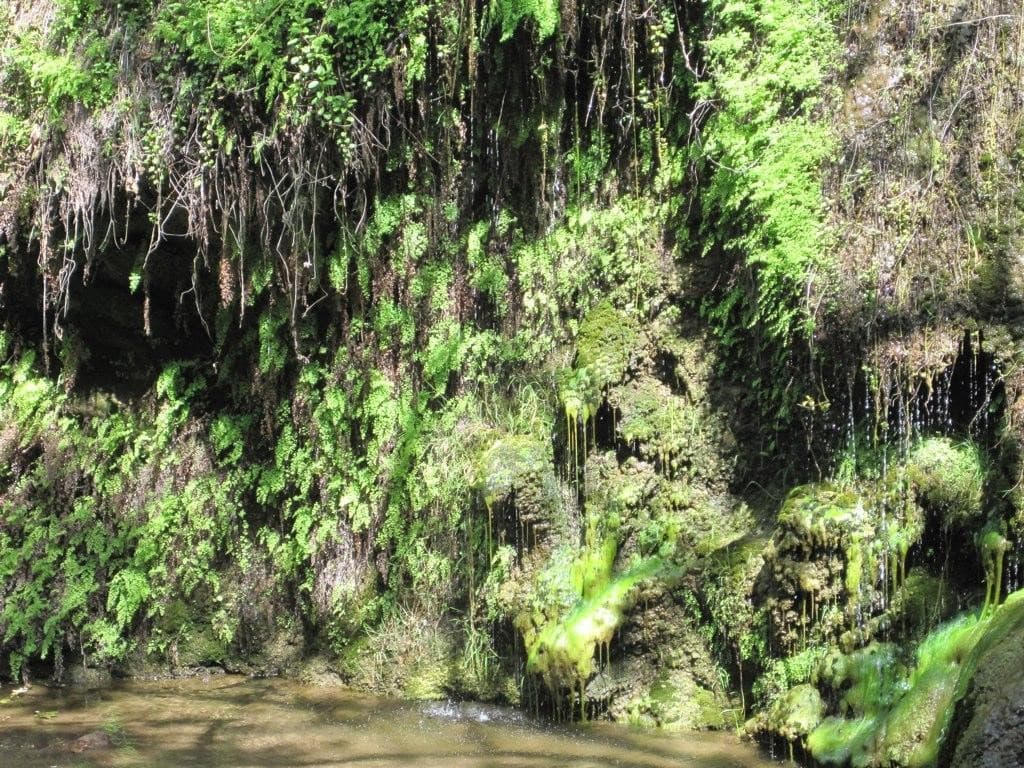 Cuando estas cataratas fluyen con fuerza, se convierten en una de las mejores de Los Ángeles. 
<a href="https://mrca.ca.gov/parks/park-listing/escondido-canyon-park/" target="_blank">Escondido Falls</a> ofrece dos niveles para sus visitantes. El nivel de la parte inferior es fácil de alcanzar por lo cual constituye un buen recorrido para principiantes. Pero si consideras que eres más experto, la cascada ofrece también un nivel superior un poco más difícil de alcanzar que mide 150 pies de alto y proporciona un hermoso paisaje.
<br>