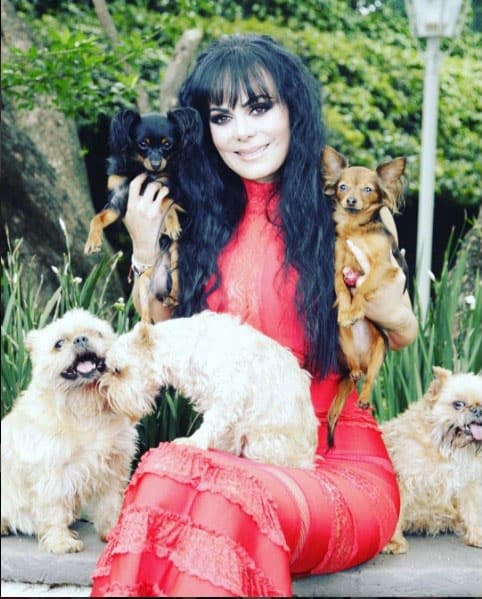 Si de caninos se trata, 
<b>Maribel Guardia</b> tiene, y muchos.