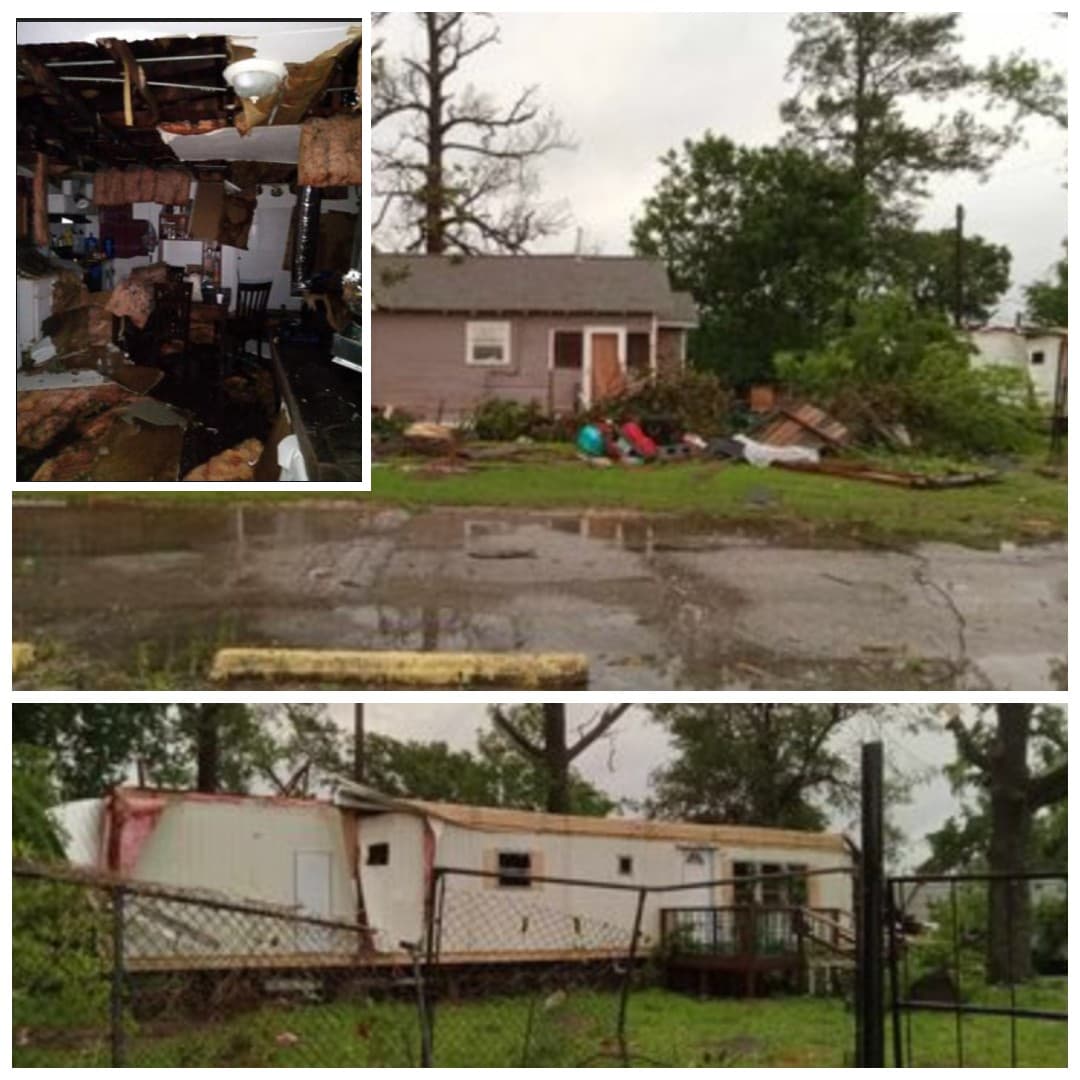 Entre Ley Road y Wayside, la tormenta también causó estragos.
