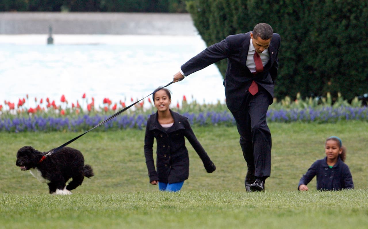 Barack Obama y familia tenían dos perros durante su paso por La Casa Blanca: Bo y Sunny, de raza Portuguese Water Dog.