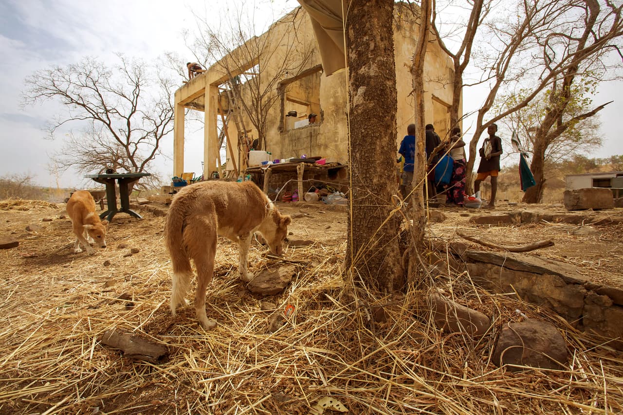 <b>Puesto 16. Kayes, Mali</b>
<br>
<br>Temperatura promedio anual: 86.6 grados Fahrenheit (30.3 grados centígrados).
<br>
<br>Mes más caliente del año: mayo (97.8 grados Fahrenheit o 36.5 grados centígrados en promedio). 
<br>
<br>Mes más caluroso de la última década: mayo de 2016 (99.5 grados Fahrenheit o 37.5 grados centígrados en promedio).
<br>