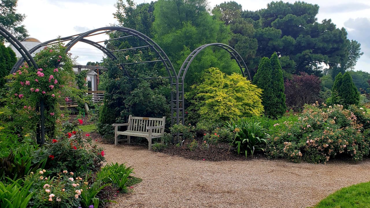 <b>Evento</b>: Evening Garden Stroll at JC Raulston Arboretum
<br>
<b>Fecha</b>: 11 de julio
<br>
<b>Lugar</b>: JC Raulston Arboretum at North Carolina State University. Address: 4415 Beryl Rd. Raleigh, NC
<br>
<b>Sitio web</b>: 
<a href="https://jcra.ncsu.edu/events/details.php?ID=3155">https://jcra.ncsu.edu/events/details.php?ID=3155</a> 
<br>
<br>Aprovecha esta rara oportunidad de visitar el jardín fuera del horario de visitas para dar un paseo por la principal colección de árboles, arbustos y plantas perennes en flor.